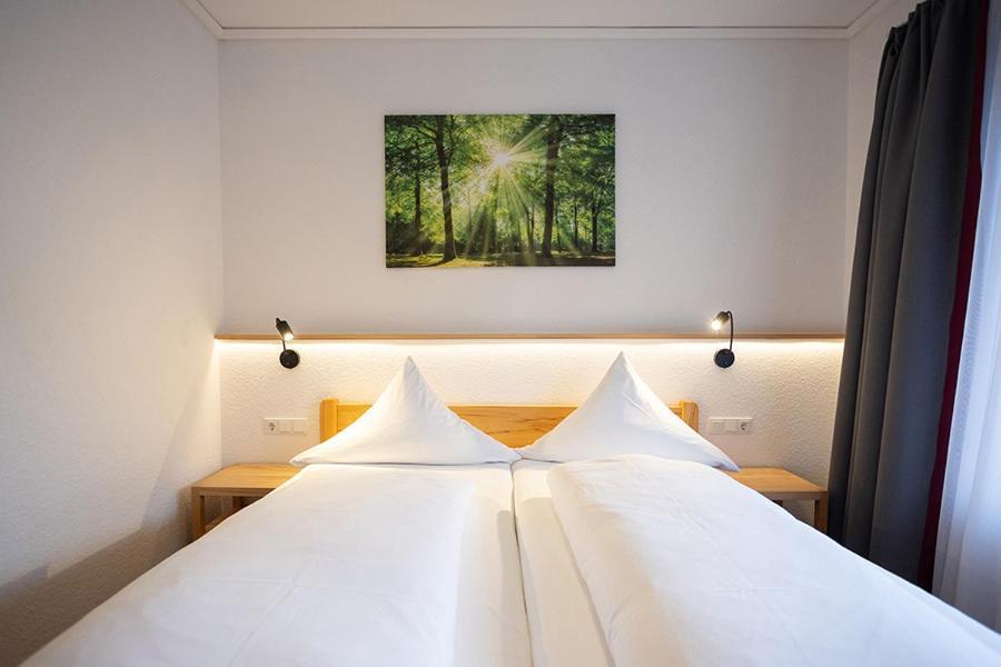 Bio-Hotel Uplaender Hof Willingen  Extérieur photo
